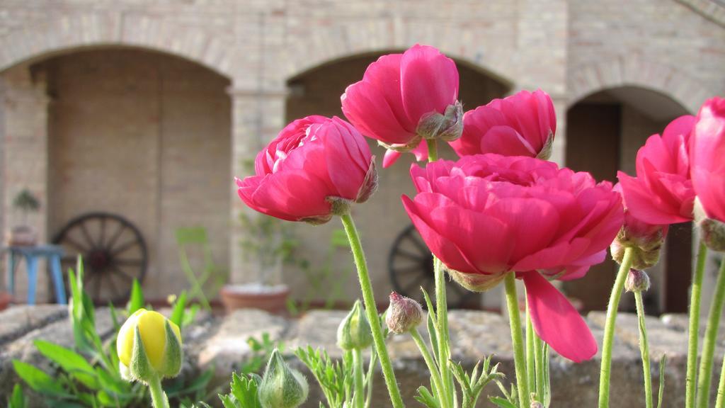 Bed And Breakfast Aratro & Rosmarino Civitanova Marche Phòng bức ảnh