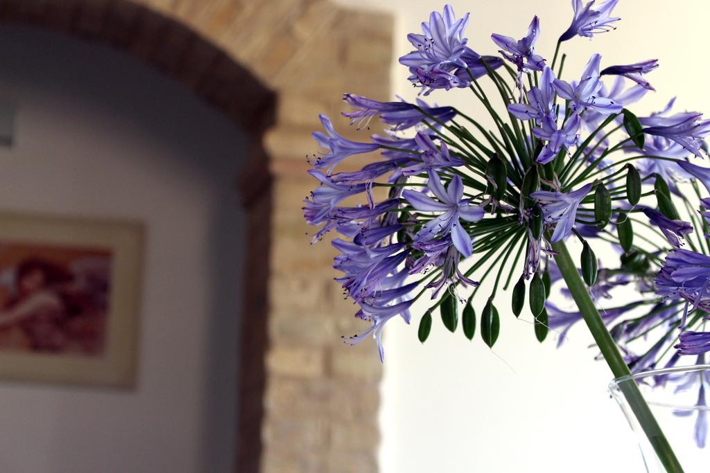 Bed And Breakfast Aratro & Rosmarino Civitanova Marche Ngoại thất bức ảnh