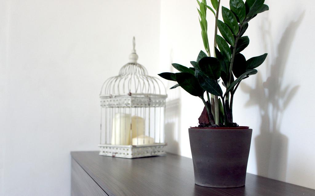 Bed And Breakfast Aratro & Rosmarino Civitanova Marche Ngoại thất bức ảnh